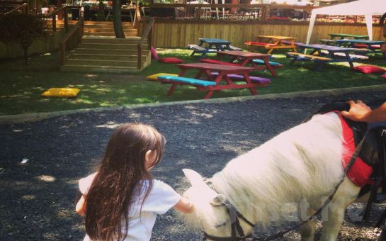 Sarıyer Life Park’ta Kahvaltı Keyfi, Pony ya da At Binme Fırsatı