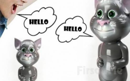 Milyonların Severek Oynadığı, Cep Telefonlarından Ayırmadığı Dünyaca Ünlü Talking Tom Cat
