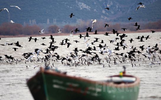 Günübirlik Öğle Yemeği Dahil Gölyazı Köyü, Ulubatlı Gölü, Mudanya ve Trilye Doğa Turu