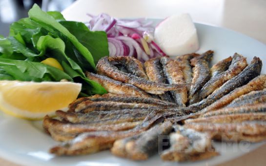 Çekmeköy My Ringo Restaurant’ta Balık, Köfte veya Tavuk Izgara Seçenekleriyle Enfes Yemek Menüsü