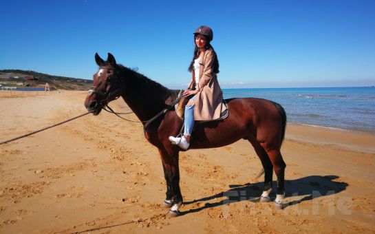 Atlı Tur’da Sahilde veya Arazide At İle Gezinti ve Binicilik Eğitim Seçenekleri
