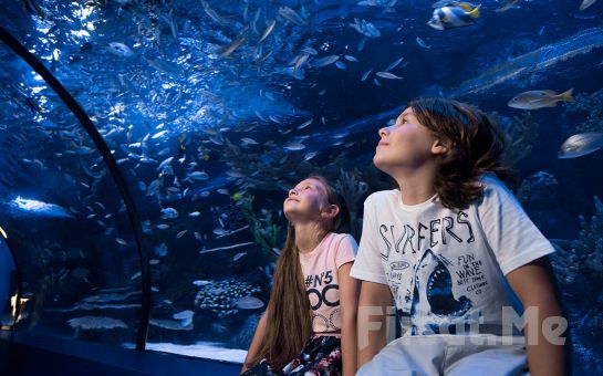 Dünyanın En Büyük Tünel Akvaryumu, Antalya Aquarium Giriş Biletinde %15 İndirim