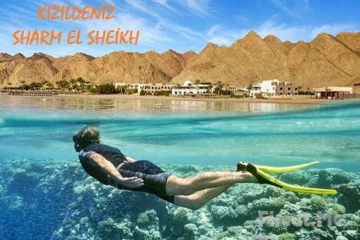 Vizesiz 3 Gece 4 Gün ’Kızıldeniz Sharm El Sheikh’ Turu