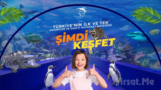 Emaar Akvaryum İstanbul & Sualtı Hayvanat Bahçesi Giriş Bileti