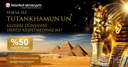 İstanbul Akvaryum Florya’da ’Tutankhamun & Tut Sergisi’ Bileti