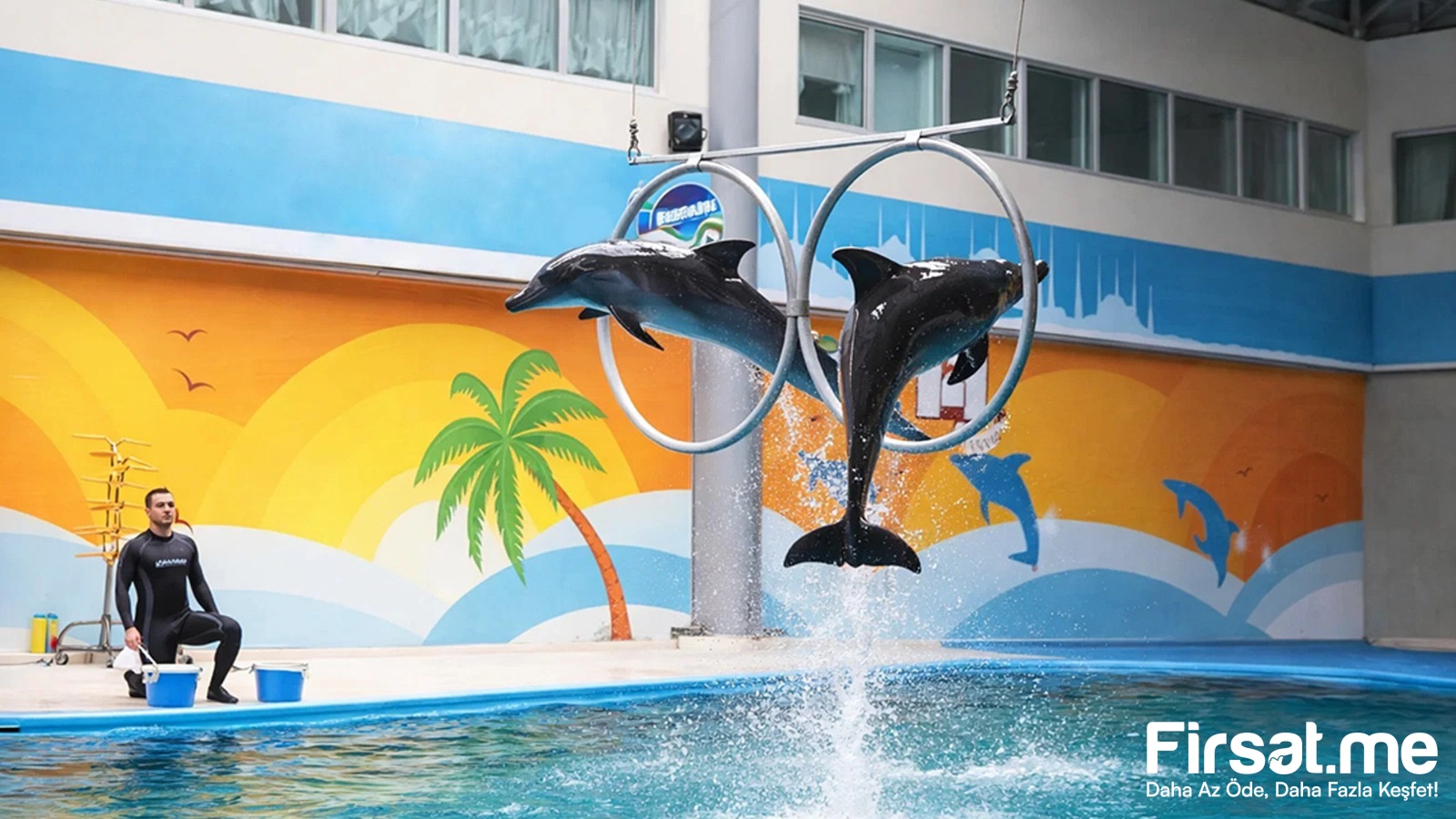 İstanbul Dolphinarium Yunus Gösteri Merkezi ’Yunus Gösteri’ Biletleri (Online Özel İndirim)