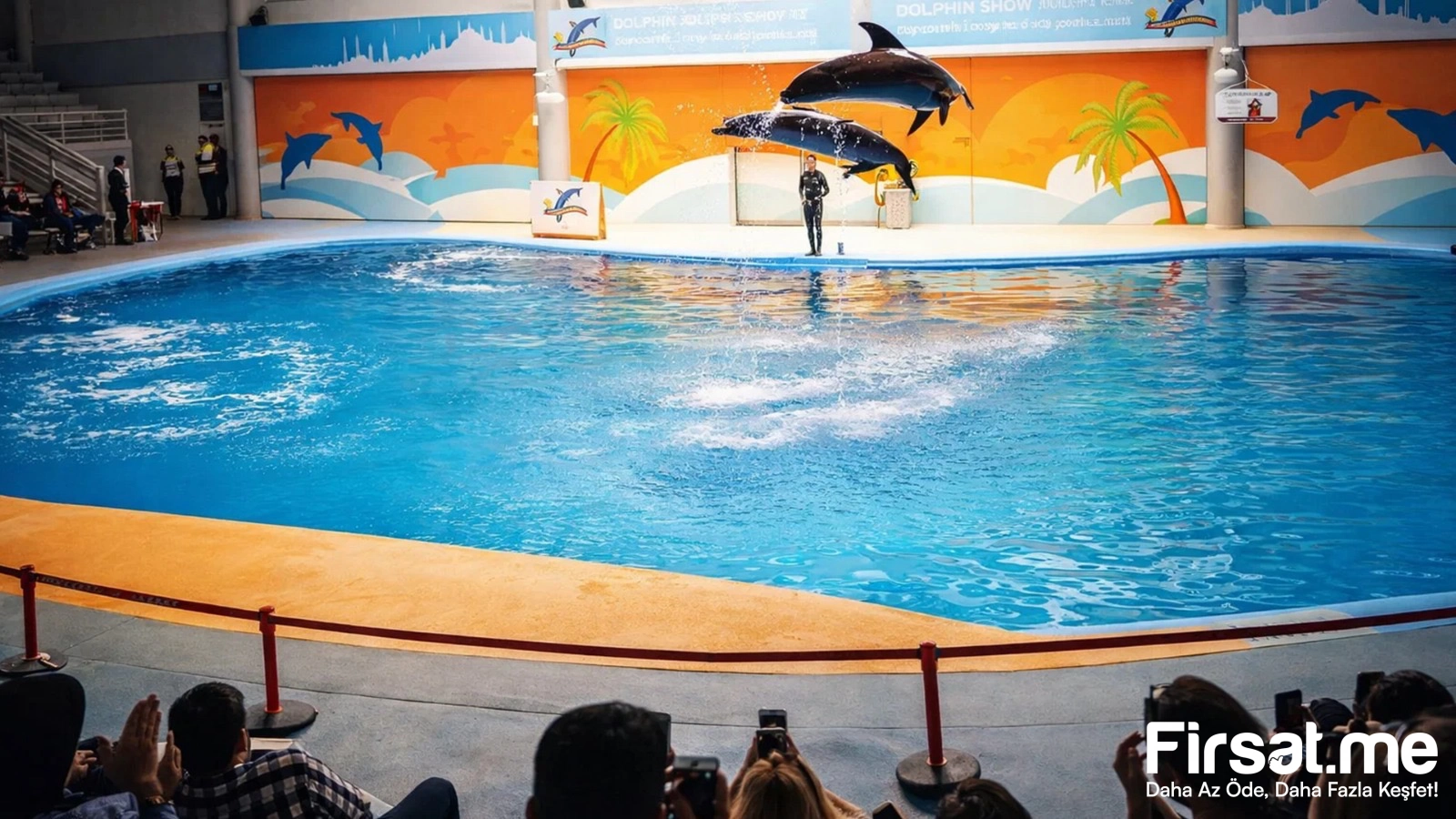 İstanbul Dolphinarium Yunus Gösteri Merkezi ’Yunus Gösteri’ Biletleri (Online Özel İndirim)