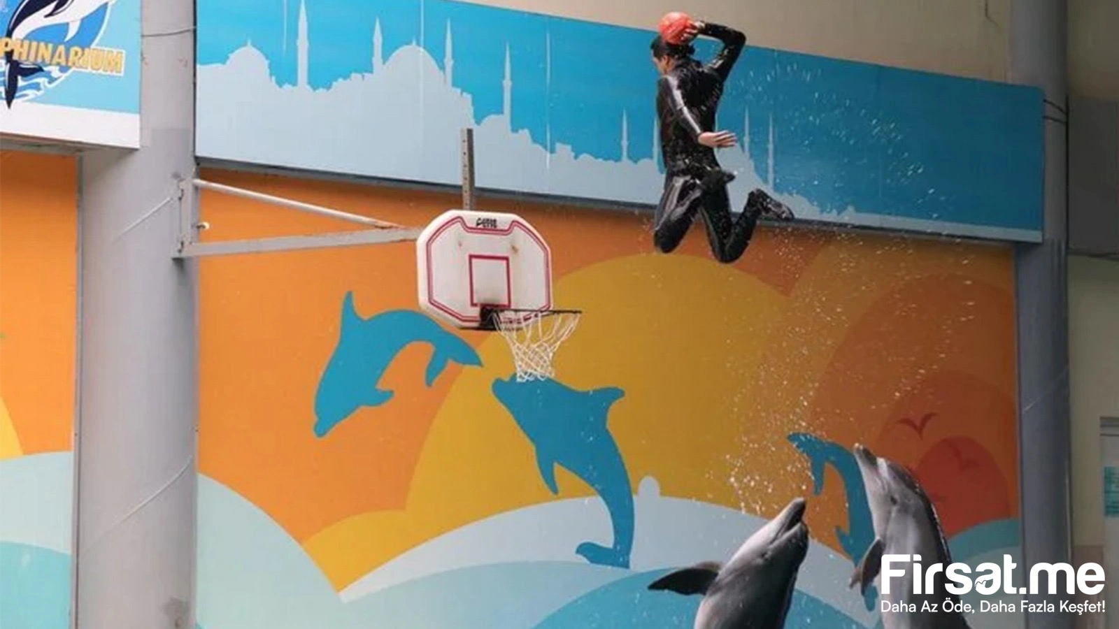 İstanbul Dolphinarium Yunus Gösteri Merkezi ’Yunus Gösteri’ Biletleri (Online Özel İndirim)
