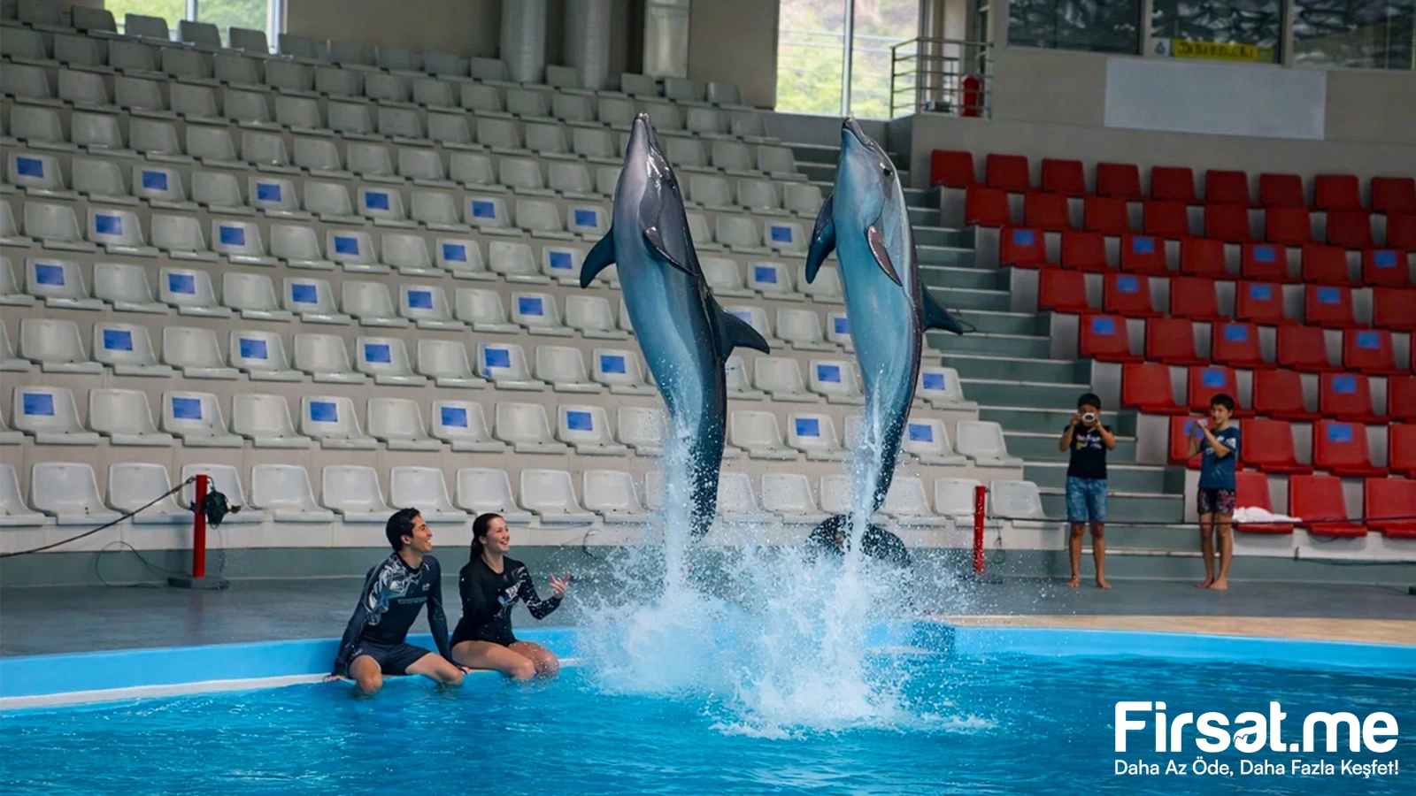 İstanbul Dolphinarium Yunus Gösteri Merkezi ’Yunus Gösteri’ Biletleri (Online Özel İndirim)