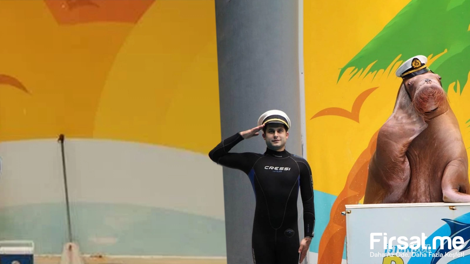 İstanbul Dolphinarium Yunus Gösteri Merkezi ’Yunus Gösteri’ Biletleri (Online Özel İndirim)
