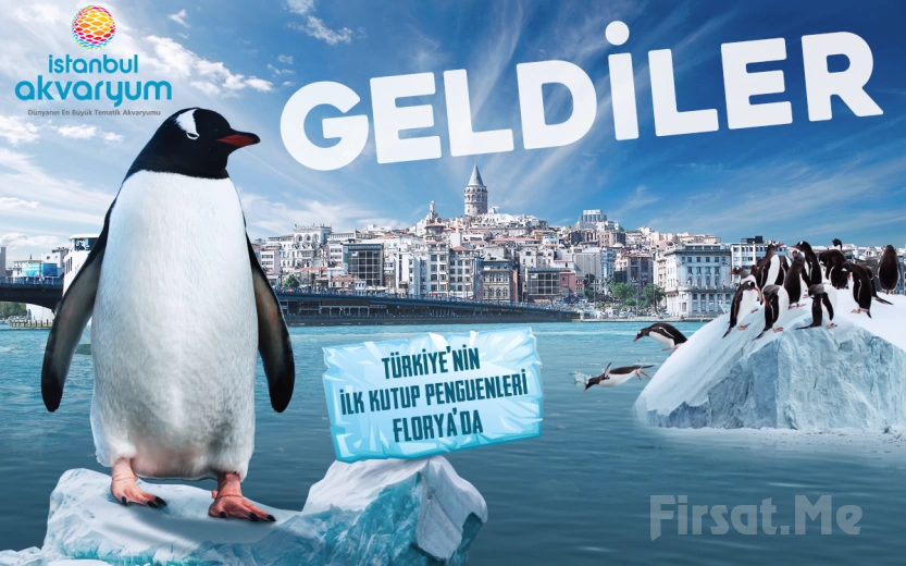 Dünya’nın En Büyük Tematik Akvaryumu Florya ’İstanbul Akvaryum’ Giriş Bileti