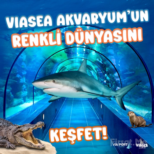 Aslan Park and ViaSea Aquarium Ticket at Viaport Marina Tuzla