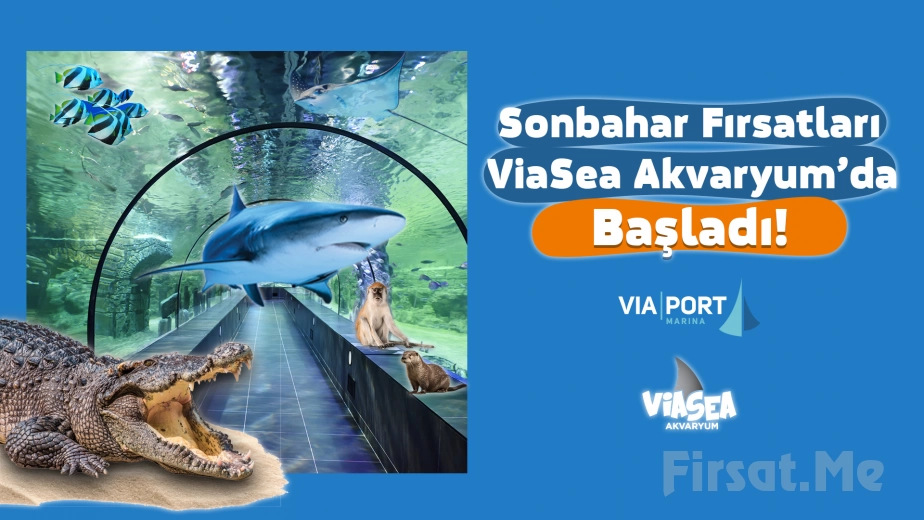 Aslan Park and ViaSea Aquarium Ticket at Viaport Marina Tuzla