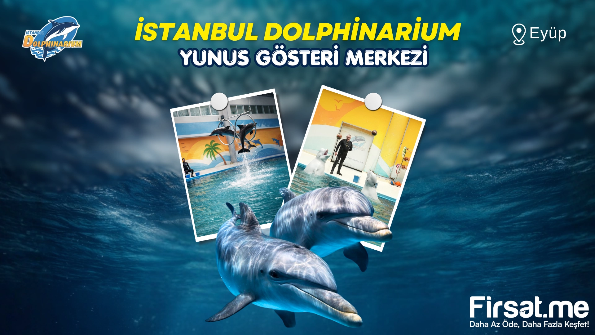 İstanbul Dolphinarium Yunus Gösteri Merkezi ’Yunus Gösteri’ Biletleri (Online Özel İndirim)