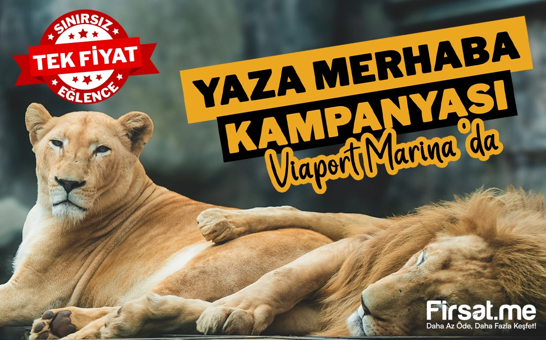 Viaport Marina Tuzla’da Bilet Seçenekleri! (Online Özel İndirim)
