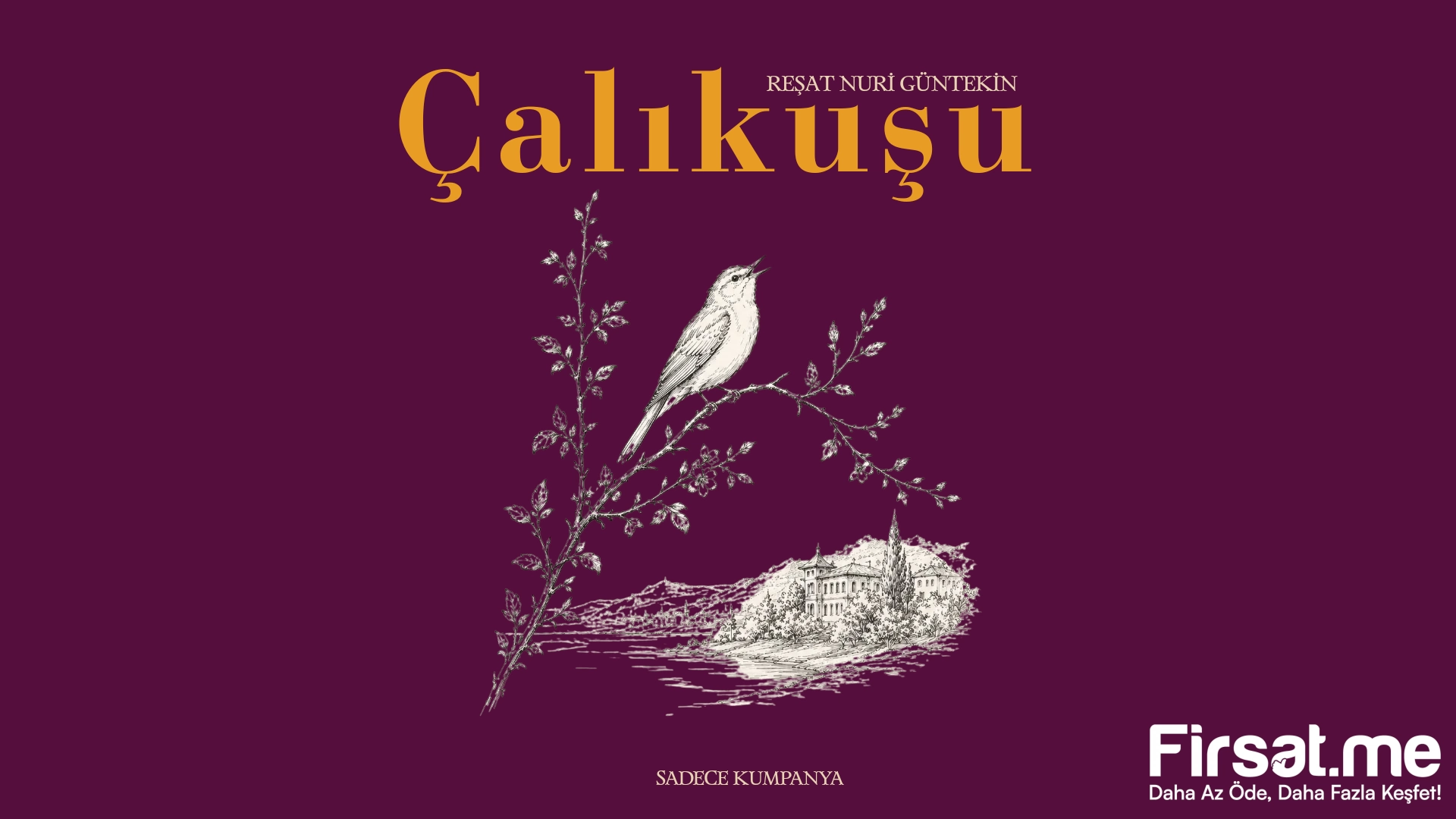 ’Çalıkuşu’ Tiyatro Oyunu Bileti
