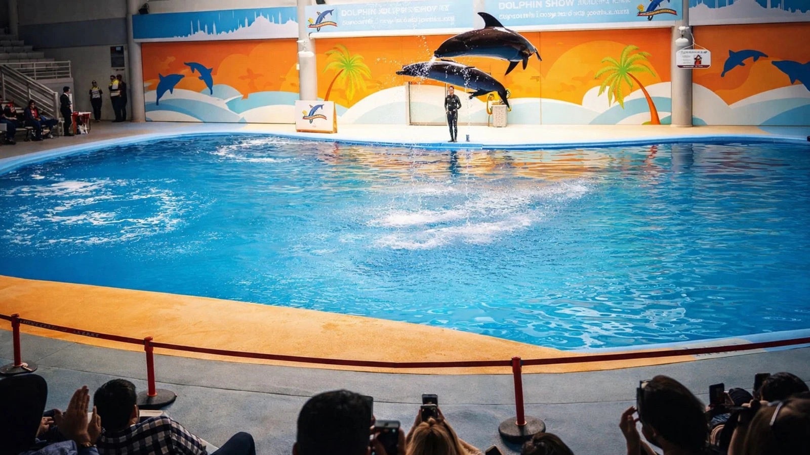 Dolphinarium Eyüp