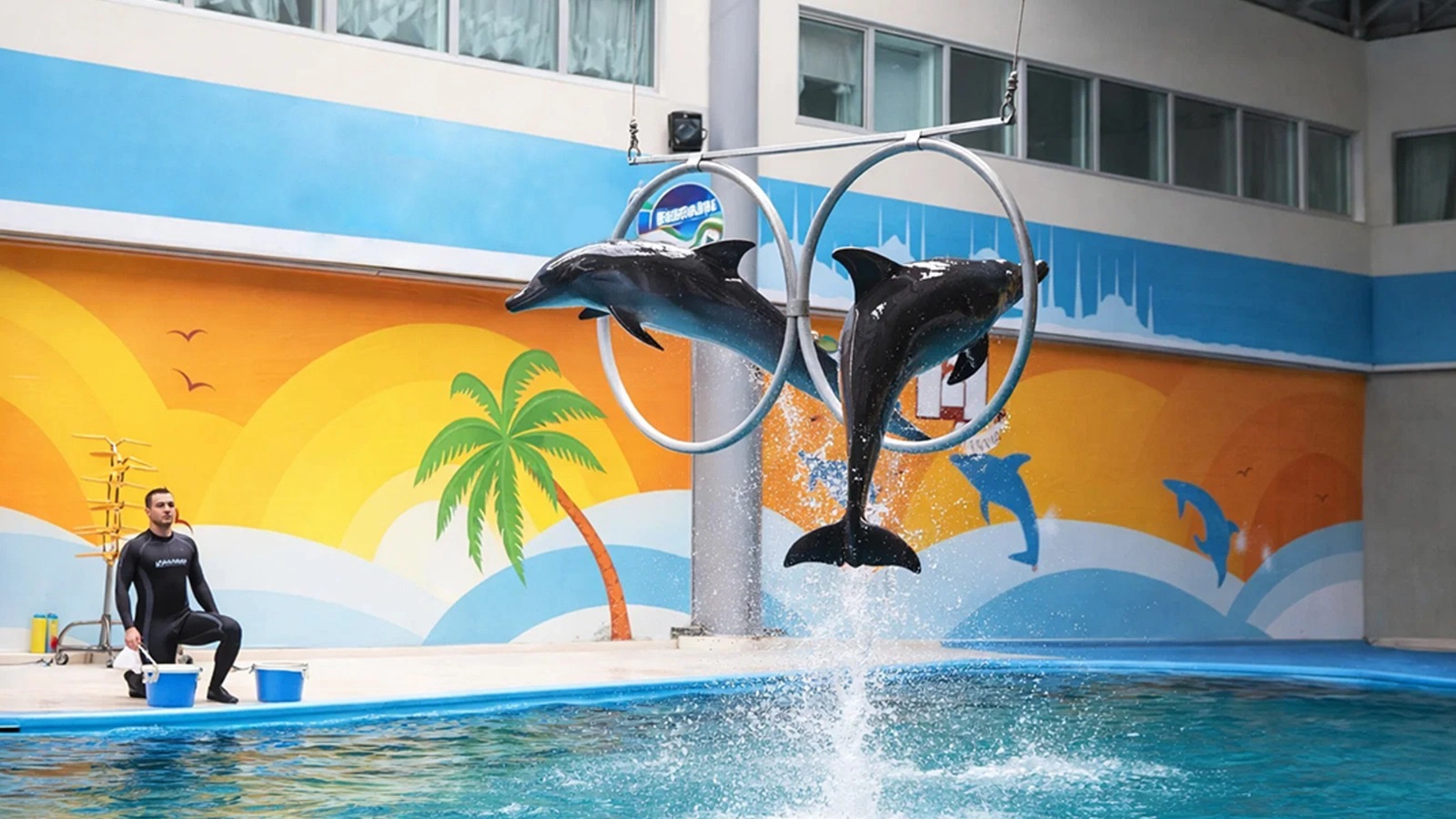 Dolphinarium Eyüp