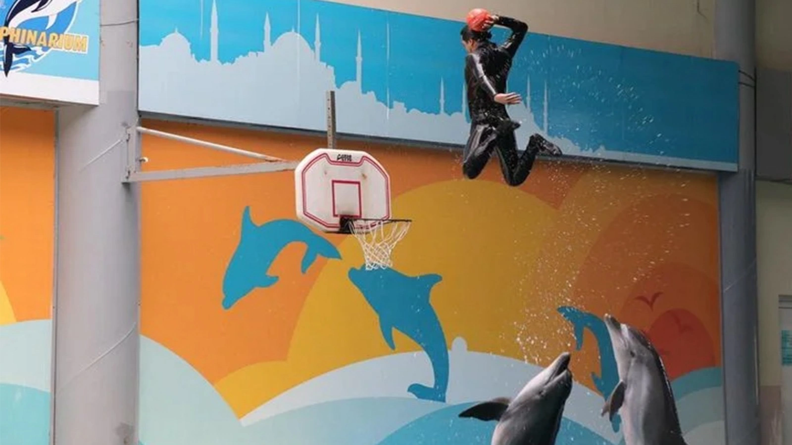 Dolphinarium Eyüp