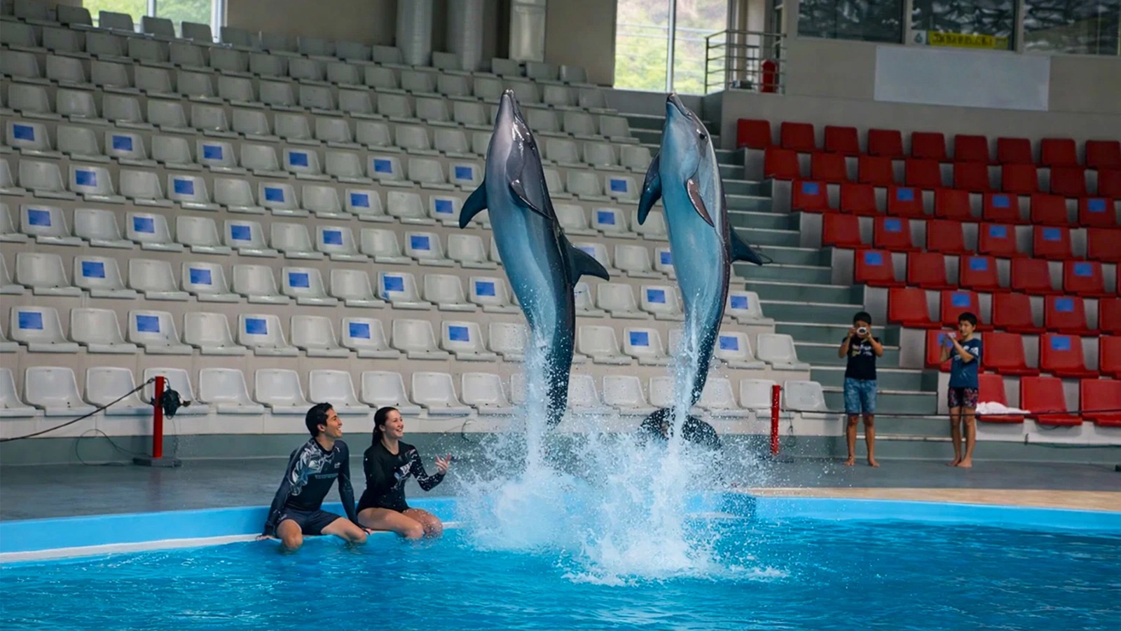 Dolphinarium Eyüp